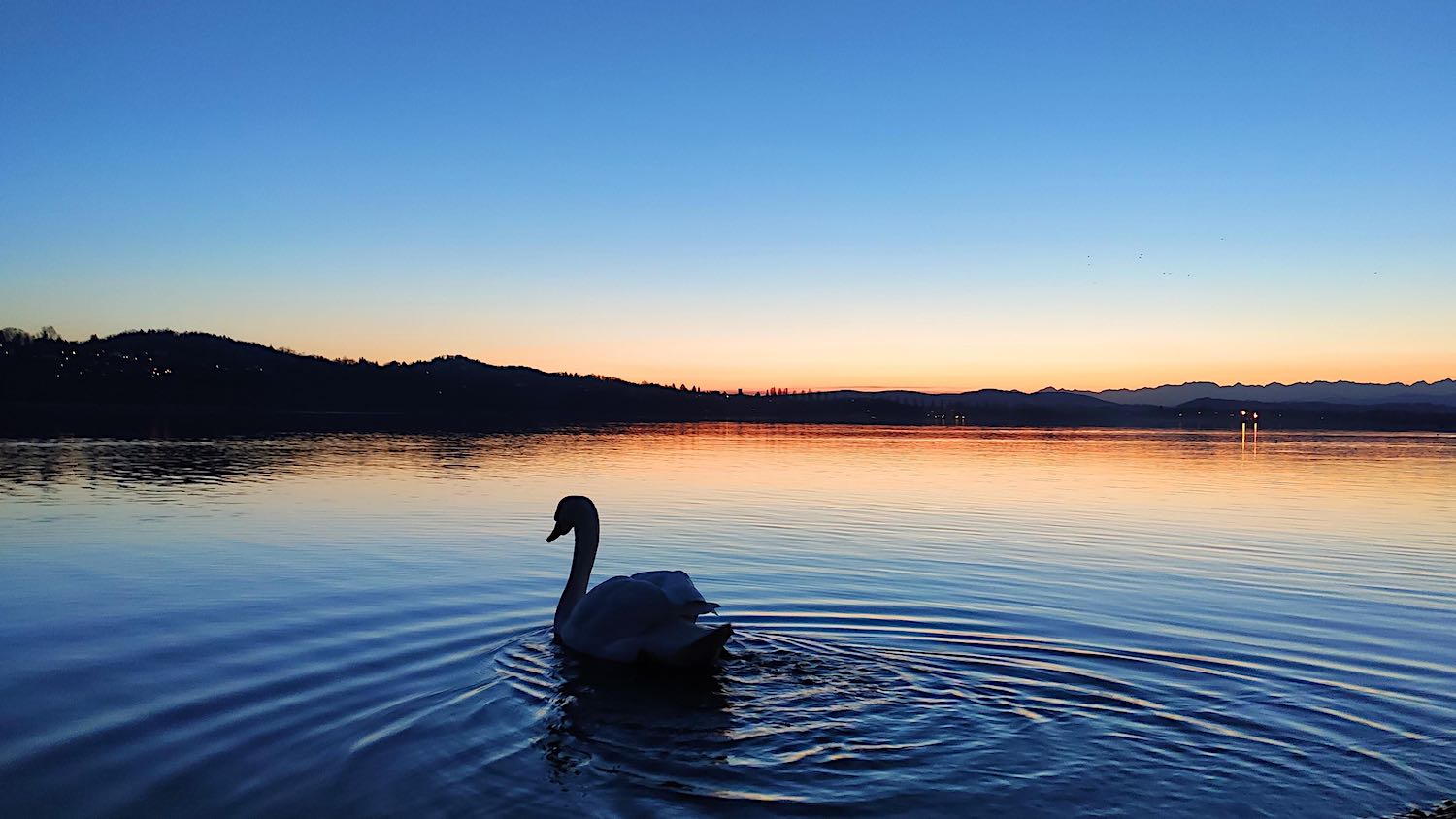 lezioni-mindfulness-online-streaming-live Mindfulness in streaming