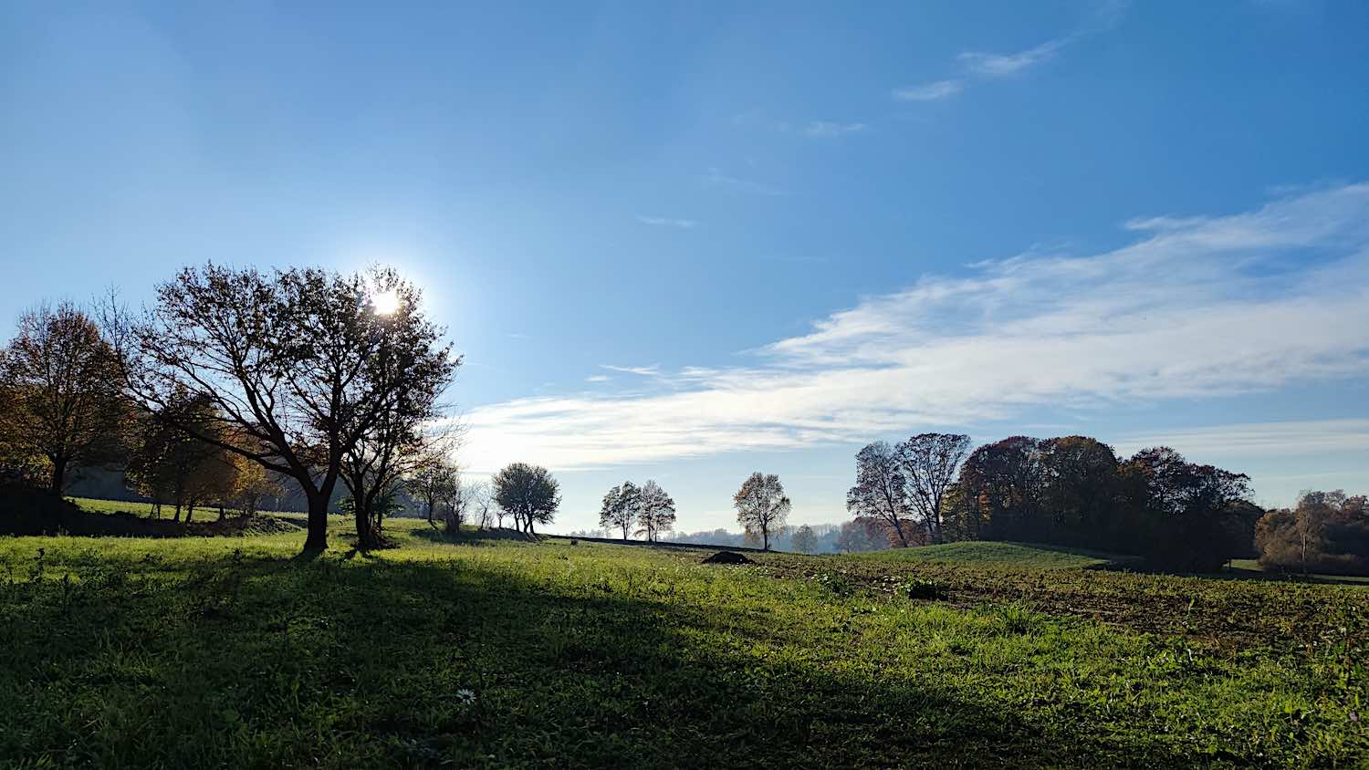 Corso di introduzione alla Mindfulness Febbraio 2023