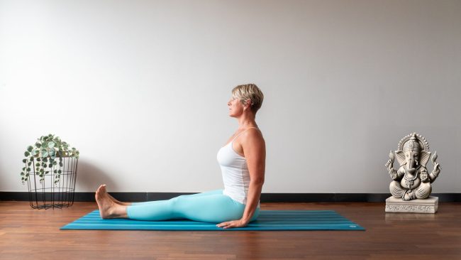 Yoga Terapia e Mindfulness Somatica